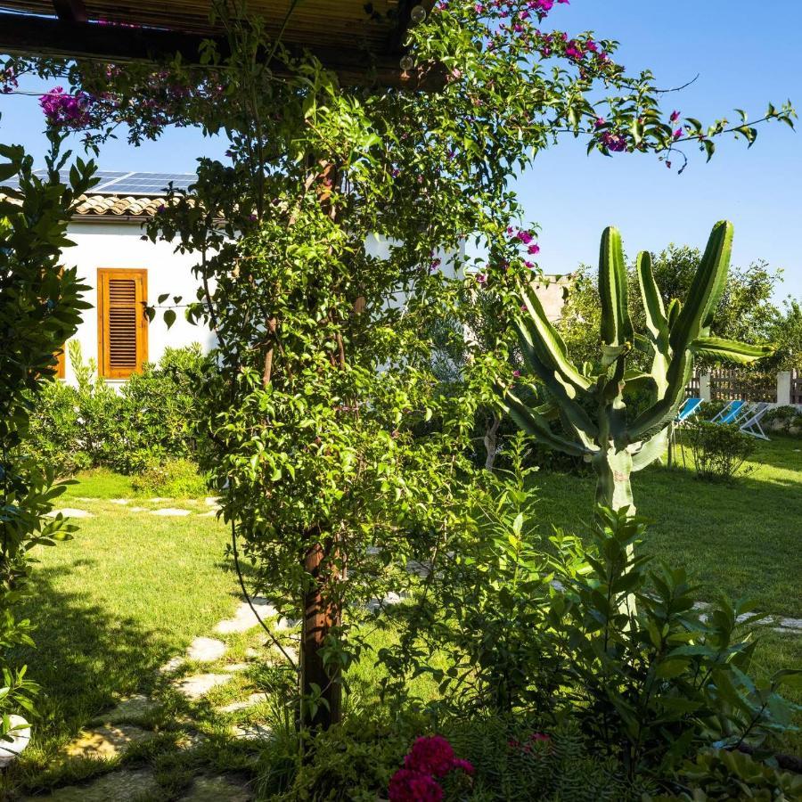 Stagnone Area Zero Bed and Breakfast Birgi Vecchi Εξωτερικό φωτογραφία